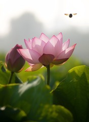 001
