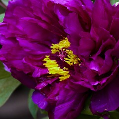 A7AA899B-04D0-4484-9255-E8F5C06F425F/L0/001
