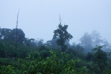 10C83E43-D71D-4647-AFA1-8F4C0E926C19/L0/001