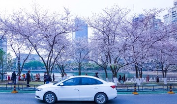 6E9804CD-B1AC-4734-A562-B92E2A70D7B7/L0/001
