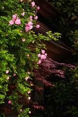 35759D9D-0488-4945-8878-98D10329E00D/L0/001