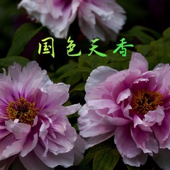 91C4F9AE-B4EC-47E4-8FF4-093506BF11B8/L0/001