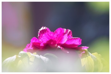 9051D7B0-7057-4322-9CB1-E77E2FE3CA05/L0/001