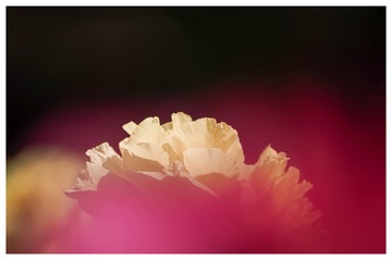 412E0248-83A8-4DD0-A0F7-59C2E5B2BD00/L0/001