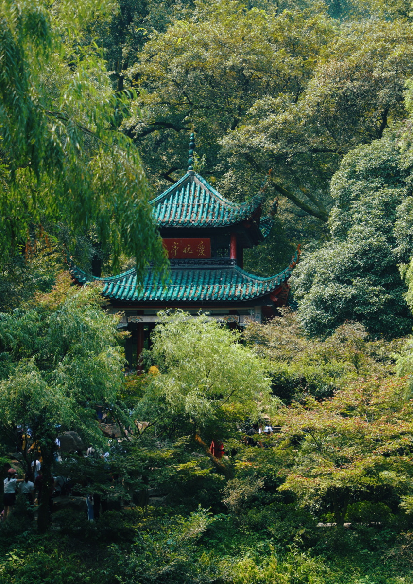 中摄影圈树公园亭子#岳麓山#爱晚亭城市建筑大赏风光景观还没有人打赏