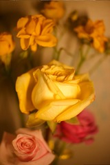 65380949-F790-422F-B05A-63F5774C86D7/L0/001
