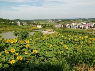 374390