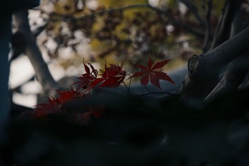686197