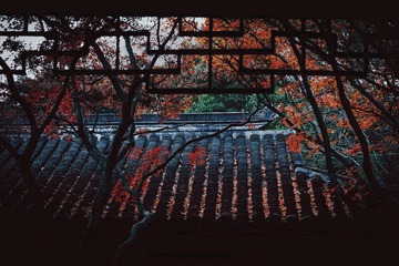 2984628