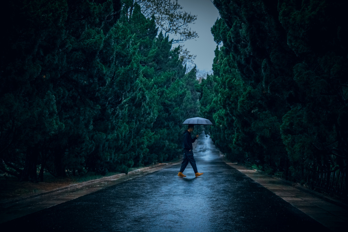 一个人的雨天