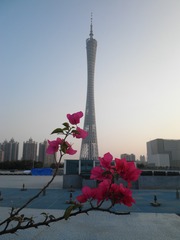A534788F-2336-4103-9B8F-8950871069ED/L0/001