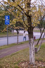 717AE7C0-B0C4-45E6-8F78-6F75A6C5E349/L0/001