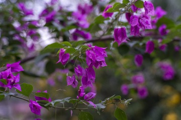 E9D6829D-F9F7-458A-8EF0-17A9355E4A91/L0/001