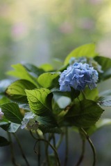 B41A8503_副本