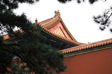 55F3CA8D-9CE8-4070-8D9A-57D06CA00695/L0/001