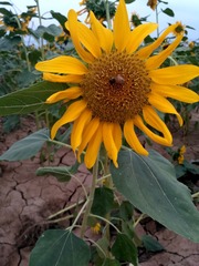 1048062