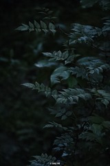 3FBF481C-0B3D-4F78-8C77-38CF5E6A5218/L0/001