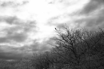 _DSC1510