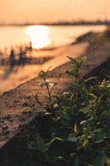 A375C88F-0157-425B-BC89-710F1F1E3CAE/L0/001