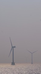 B44E68AD-B716-469E-9C46-372413E24D2E/L0/001