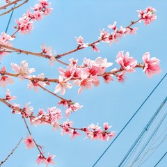 001
