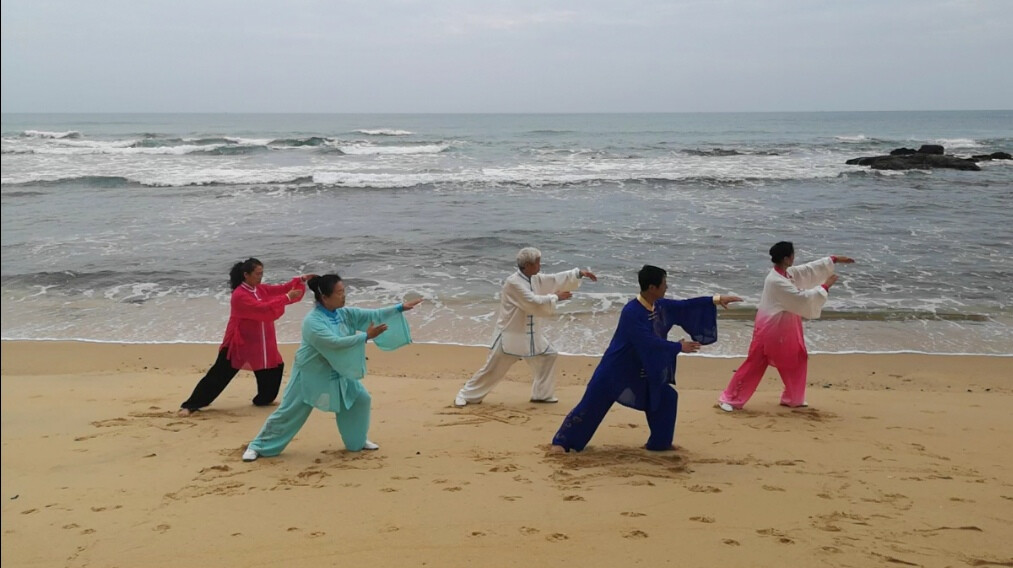 74太极拳教程视频教程,中国传统武术品种太极拳流派众多