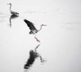 844902BE-E720-468F-B270-D388C9FF0C65/L0/001