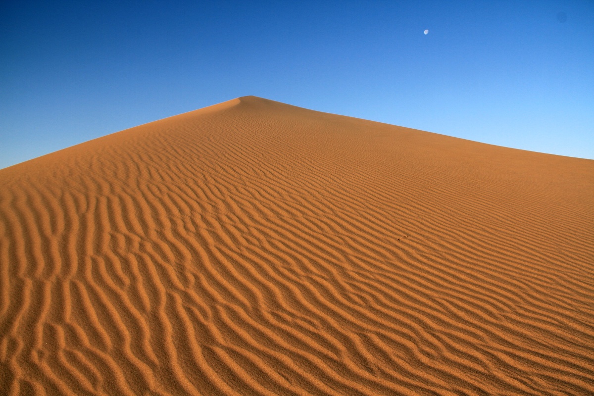 不知道多少年的沙漠的皱纹在晨光里那么好看那么美!