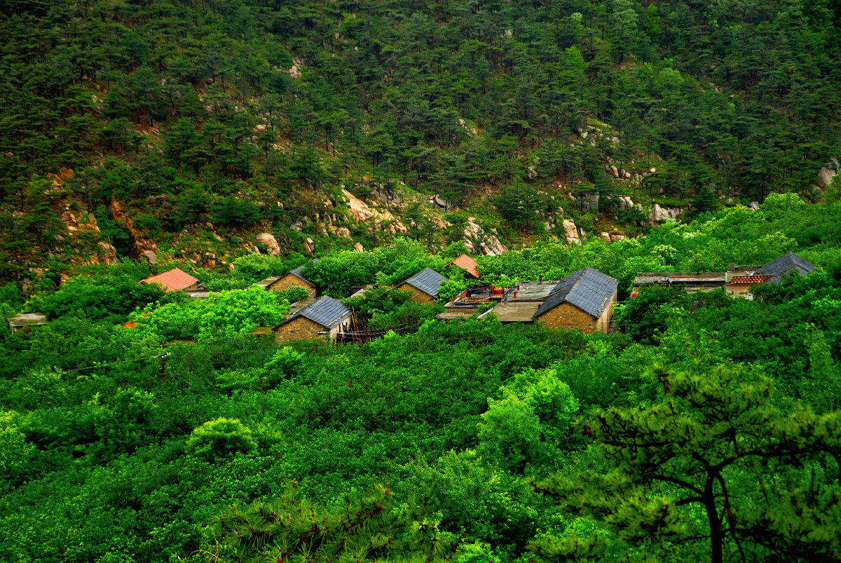 自然人文地理摄影组大山#山里#民居住户山里人家森林环境人居环境