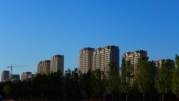 1450077