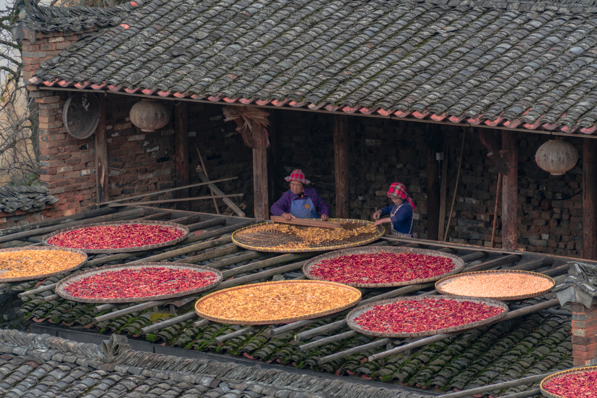 篁岭农民与晒秋