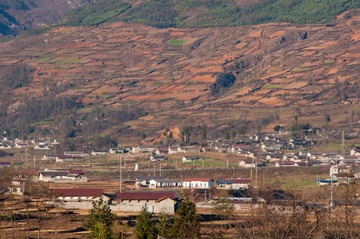 _DSC0373