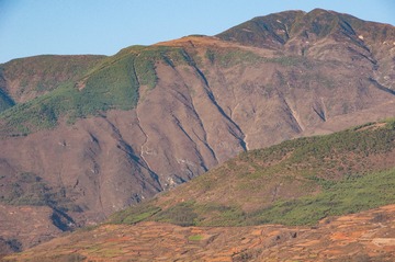 _DSC0372