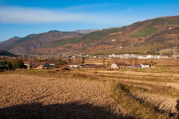 _DSC0369