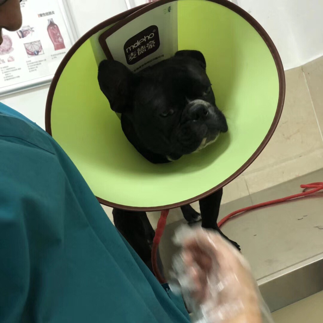 医院的常客一百先生?