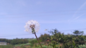 1835065