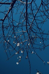 0BDB9E0E-BF7C-443D-85B6-6DEE67784D90/L0/001