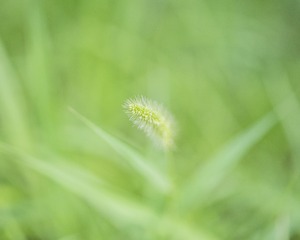 224080