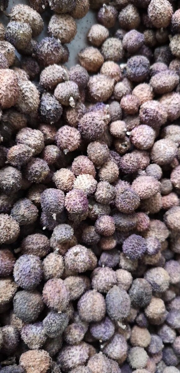 毛料怎么分类