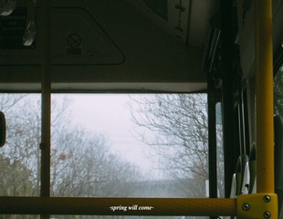 3091598