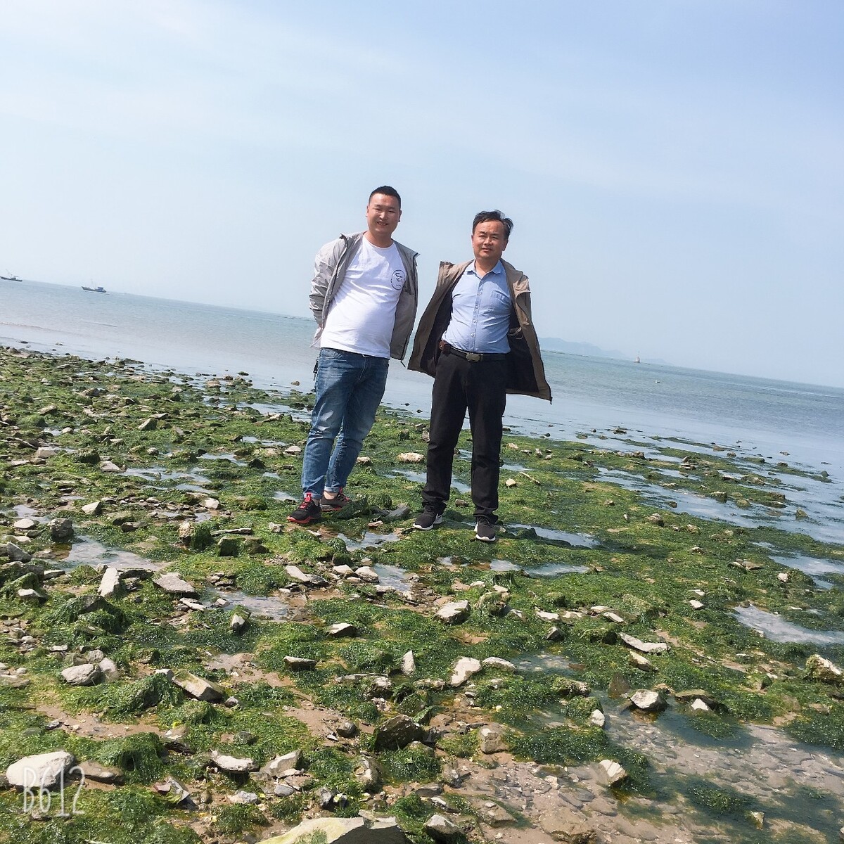 辽宁 海水养殖品种,中国海水养殖品种对虾在本地变得重要了