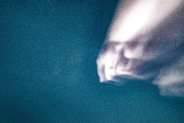 IMG_LR_03513