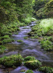DSCF7839_