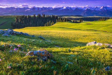 DSCF0328_