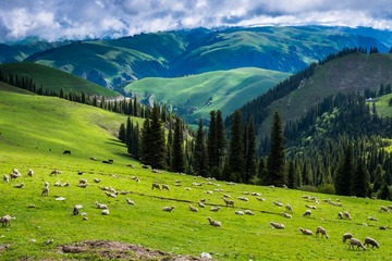 DSCF1682_