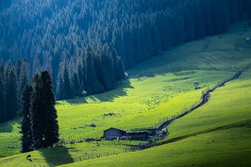 DSCF0857_