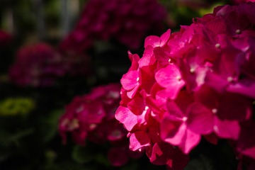 20130510-_SDI0253