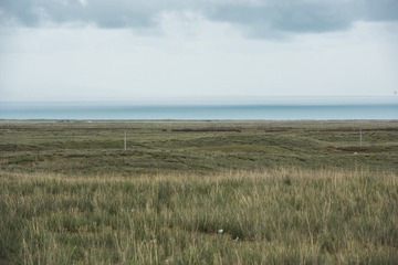 青海湖