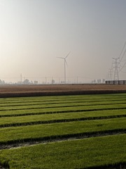 D67A73B5-54D8-4012-9DE0-D2513B722281/L0/001
