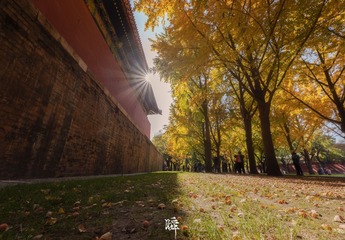 2A715885-E101-4434-9C0C-58D13E9DAACB/L0/001
